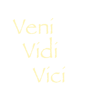 Veni 
  Vidi 
    Vici